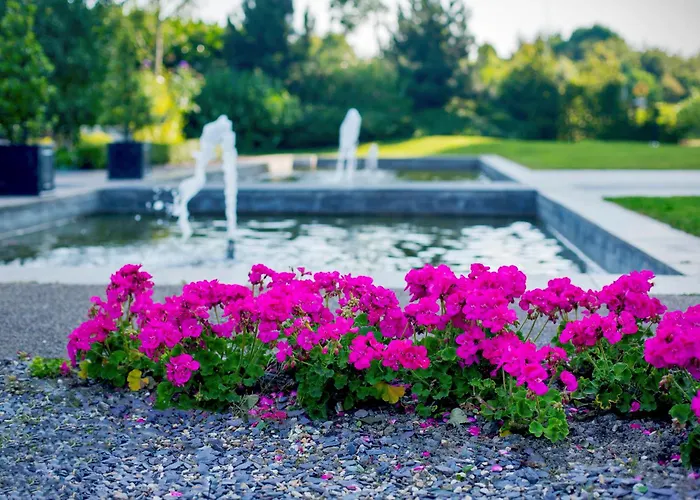 Отель The Gateway Дандолк